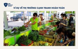 Ví dụ về thị trường cạnh tranh hoàn toàn