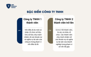 Đặc điểm công ty TNHH