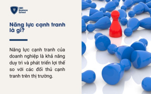 Năng lực cạnh tranh của doanh nghiệp là gì?