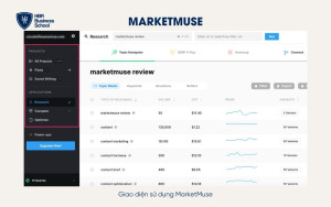 Công cụ Marketmuse