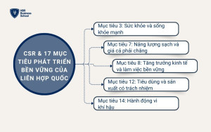 Mối quan hệ của CSR và 17 mục tiêu phát triển bền vững của Liên Hợp Quốc