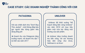 Các case study thành công của doanh nghiệp khi thực hiện CSR