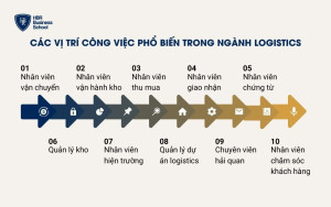 Các vị trí công việc phổ biến trong ngành Logistic