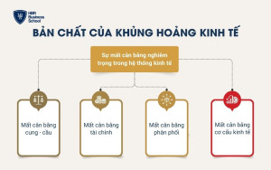 Bản chất của cuộc khủng hoảng