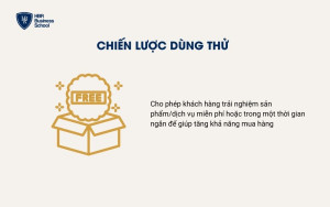 Chiến lược dùng thử