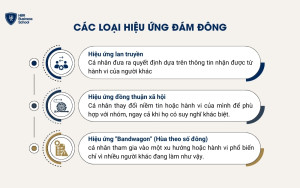 Các loại hiệu ứng đám đông phổ biến