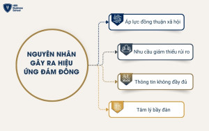 Các nguyên nhân gây ra hiệu ứng đám đông