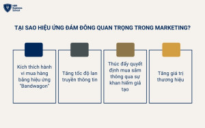 Hiệu ứng đám đông rất quan trọng trong marketing