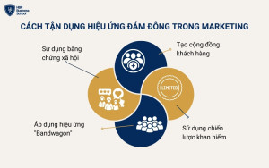 Cách tận dụng hiệu ứng đám đông