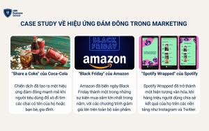 Case study về tận dụng hiệu ứng đám đông thành công