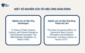 Các nghiên cứu về hiệu ứng đám đông