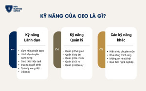 Kỹ năng của CEO là gì?