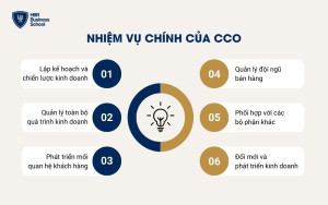 Nhiệm vụ của CCO là gì?