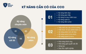 Kỹ năng của CCO là gì?