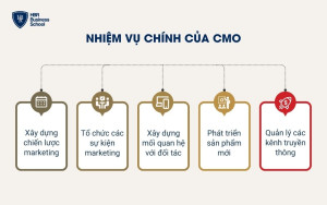 Nhiệm vụ của CMO là gì?