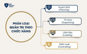 Phân loại theo chức năng