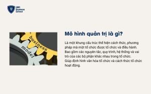 Mô hình quản trị là gì?