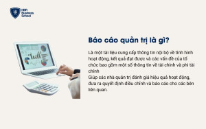 Báo cáo quản trị là gì?