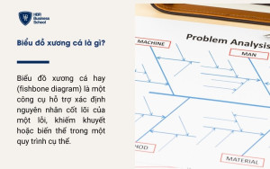 Biểu đồ xương cá là gì