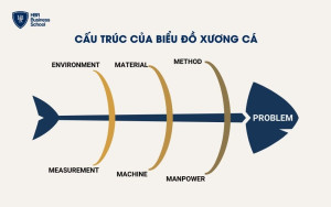 Cấu trúc biểu đồ xương cá trong lĩnh vực sản xuất