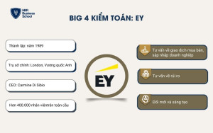 Big 4 kiểm toán: EY