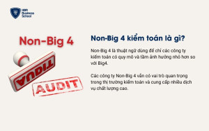 Non-Big 4 kiểm toán là gì?