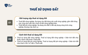 Thuế sử dụng đất