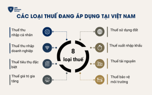 Các loại thuế đang áp dụng tại Việt Nam