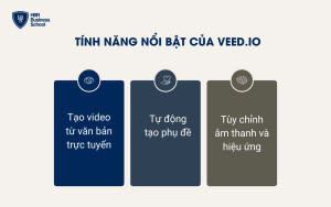 Tính năng nổi bật của VEED.IO