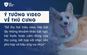 Video về thú cưng luôn có sức hút lớn nhờ vào sự đáng yêu và tự nhiên