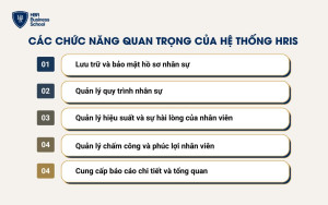 Các chức năng quan trọng của hệ thống HRIS