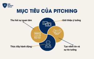 Mục tiêu chính của pitching