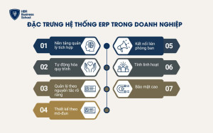 Các đặc điểm của hệ thống quản lý ERP