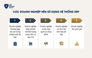 Hệ thống ERP phù hợp với những doanh nghiệp nào?