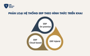 Phân loại hệ thống ERP theo hình thức triển khai