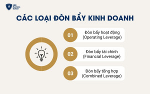 Các loại đòn bẩy kinh doanh