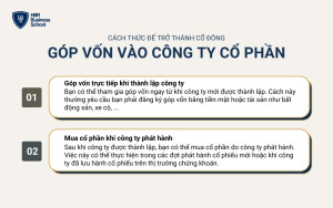 Cách cá nhân hoặc tổ chức có thể góp vốn vào công ty cổ phần