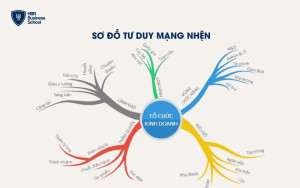 Sơ đồ tư duy mạng nhện