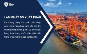 Lạm phát nguyên nhân do xuất khẩu