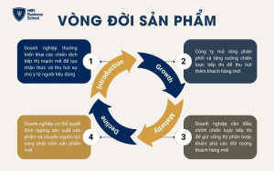 Mô hình Vòng đời sản phẩm