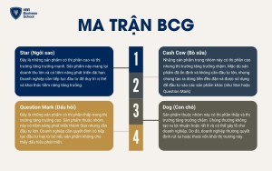 Ma trận BCG (Thị phần/Tăng trưởng)