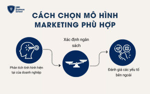 Cách chọn mô hình Marketing phù hợp