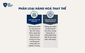 Phân loại hàng hoá thay thế