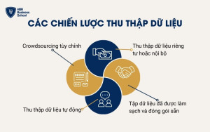 Các chiến lược thu thập dữ liệu