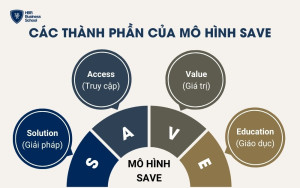 Các thành phần của mô hình SAVE