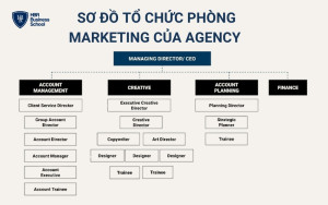 Sơ đồ tổ chức phòng Marketing của Agency