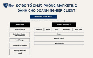 Sơ đồ tổ chức phòng Marketing dành cho doanh nghiệp Client