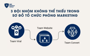 3 đội nhóm không thể thiếu trong sơ đồ tổ chức phòng Marketing