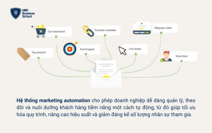 Hệ thống marketing automation cho doanh nghiệp