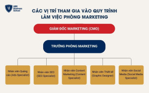 Các vị trí tham gia vào quy trình làm việc phòng marketing